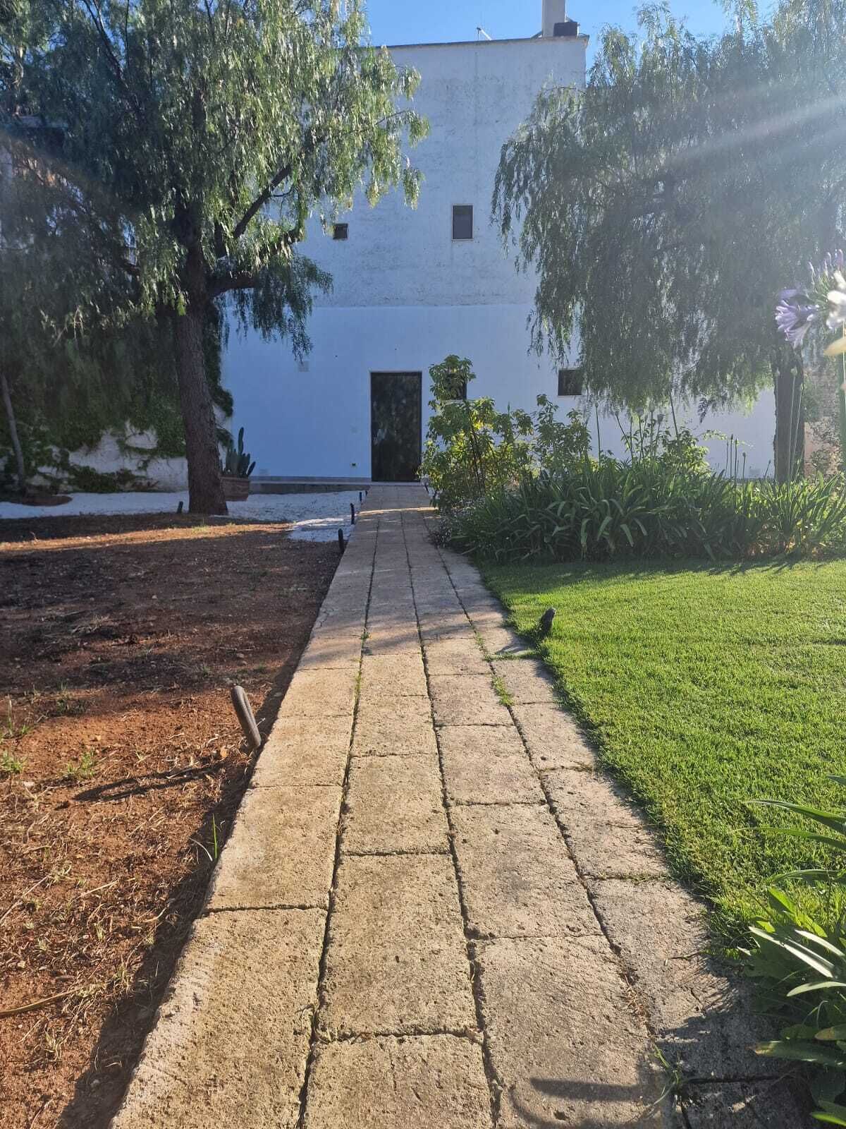 Un vialetto lastricato conduce a un edificio bianco con una porta e finestre, immerso nel verde e alberi.