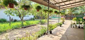 Terrace/patio - Local Khmer House Located 10 Minutes Away from Angkor Wat (Siem Reap)