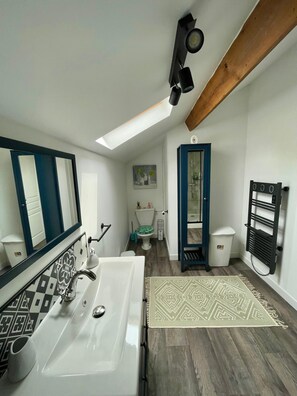 A modern bathroom with a skylight, a large mirror, a sink, a toilet, and a shower.