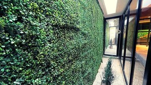A modern building with a neatly trimmed hedge along the exterior wall. - Calle 76 Estudio by Caribecheap (Barranquilla)