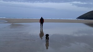 A beach scene with a person walking a dog. - Cornish Getaway (Newquay)