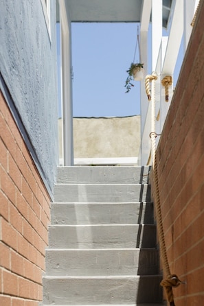 Un escalier menant à une porte offrant une vue dégagée sur le ciel, avec une plante suspendue.