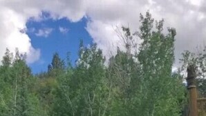 Un césped cuidado con una escalera de piedra que lleva a una terraza de madera.