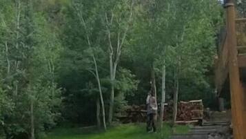 Enceinte de l’hébergement