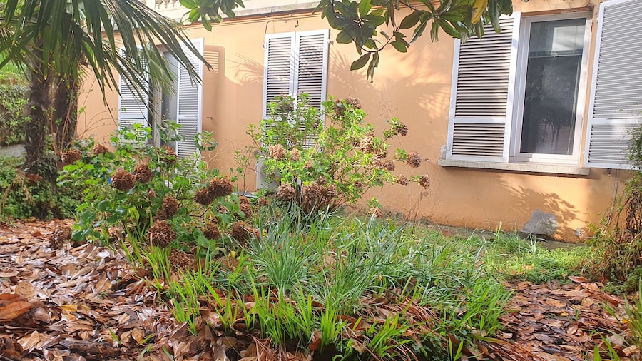 Family Groundfloor Flat Central Lugano