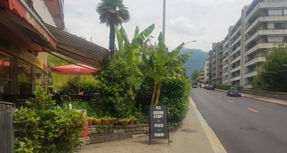 Family Groundfloor Flat Central Lugano