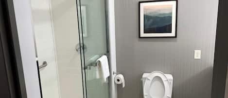 A bathroom with a glass-enclosed shower, a toilet, a framed picture on the wall, and a trash bin.