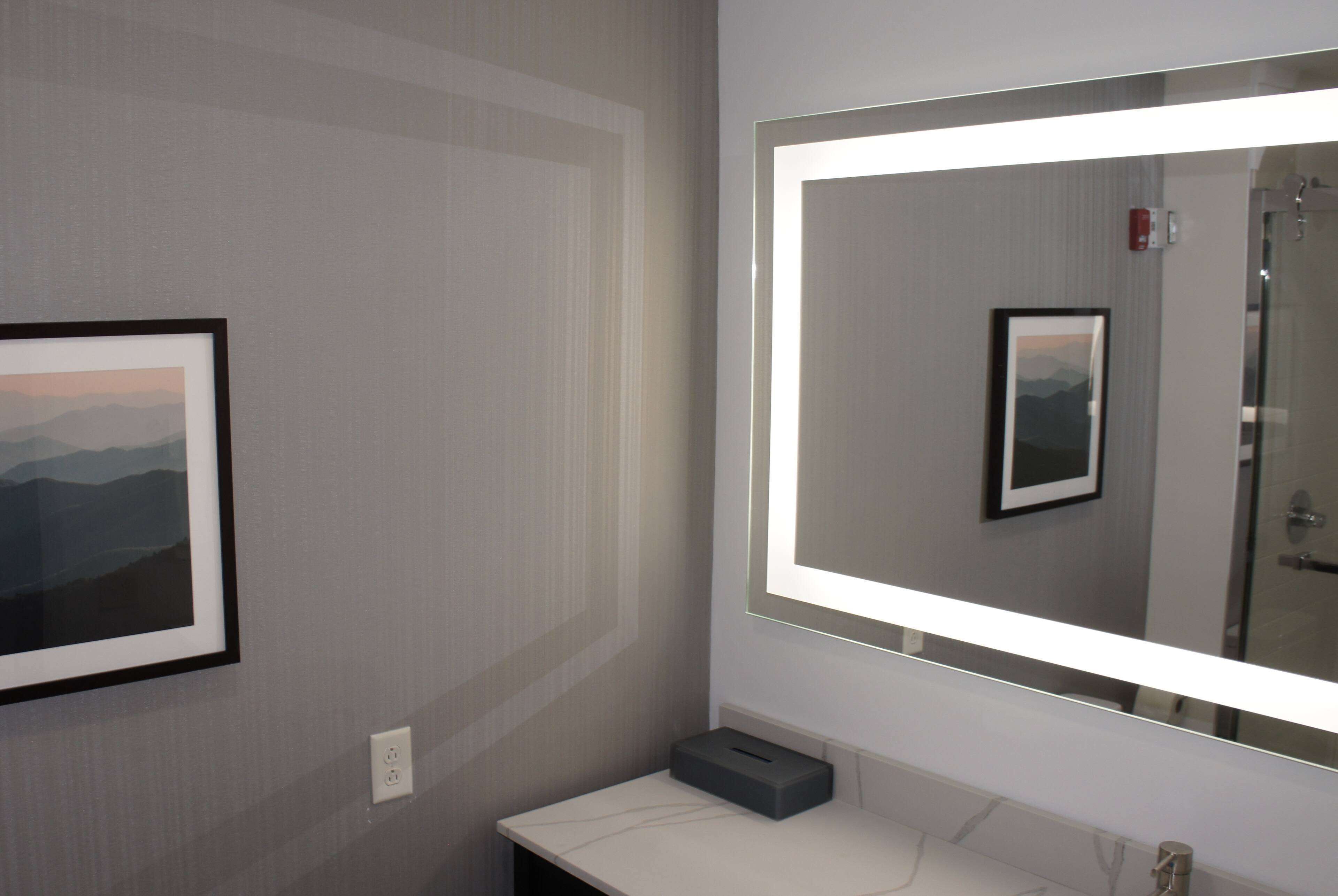 A bathroom with a large mirror, a framed picture on the wall, and a small trash bin.