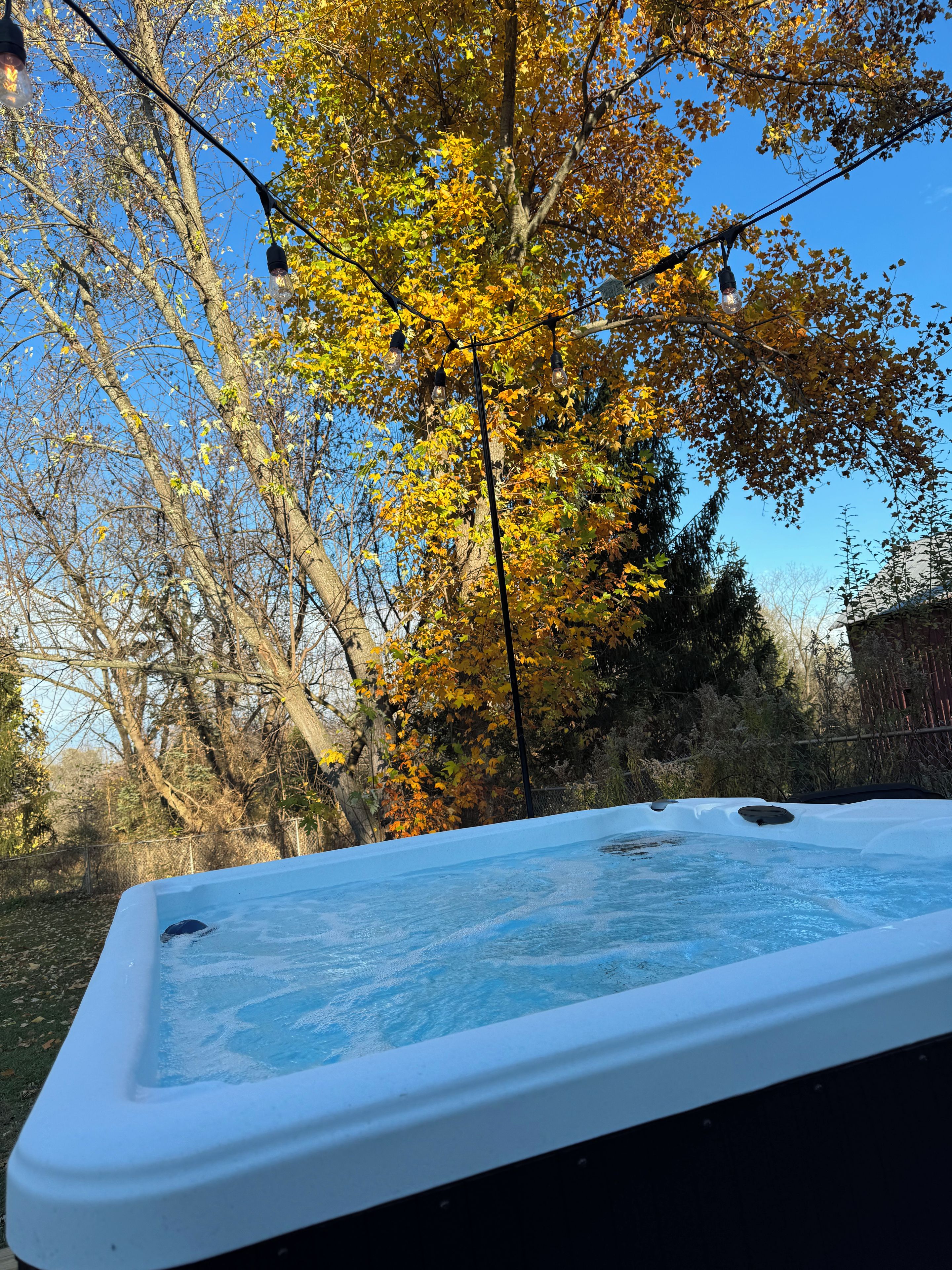 A hot tub in a backyard with trees and a clear sky.