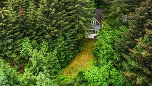 Een huis, omringd door dicht bos.
