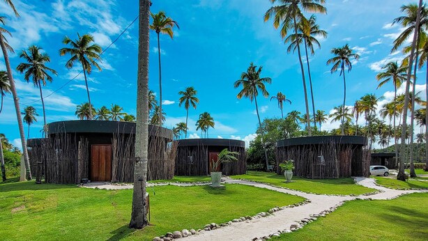 A tropical resort with a paved pathway leading to a building surrounded by palm trees. - Taboo Milagres (São Miguel dos Milagres)