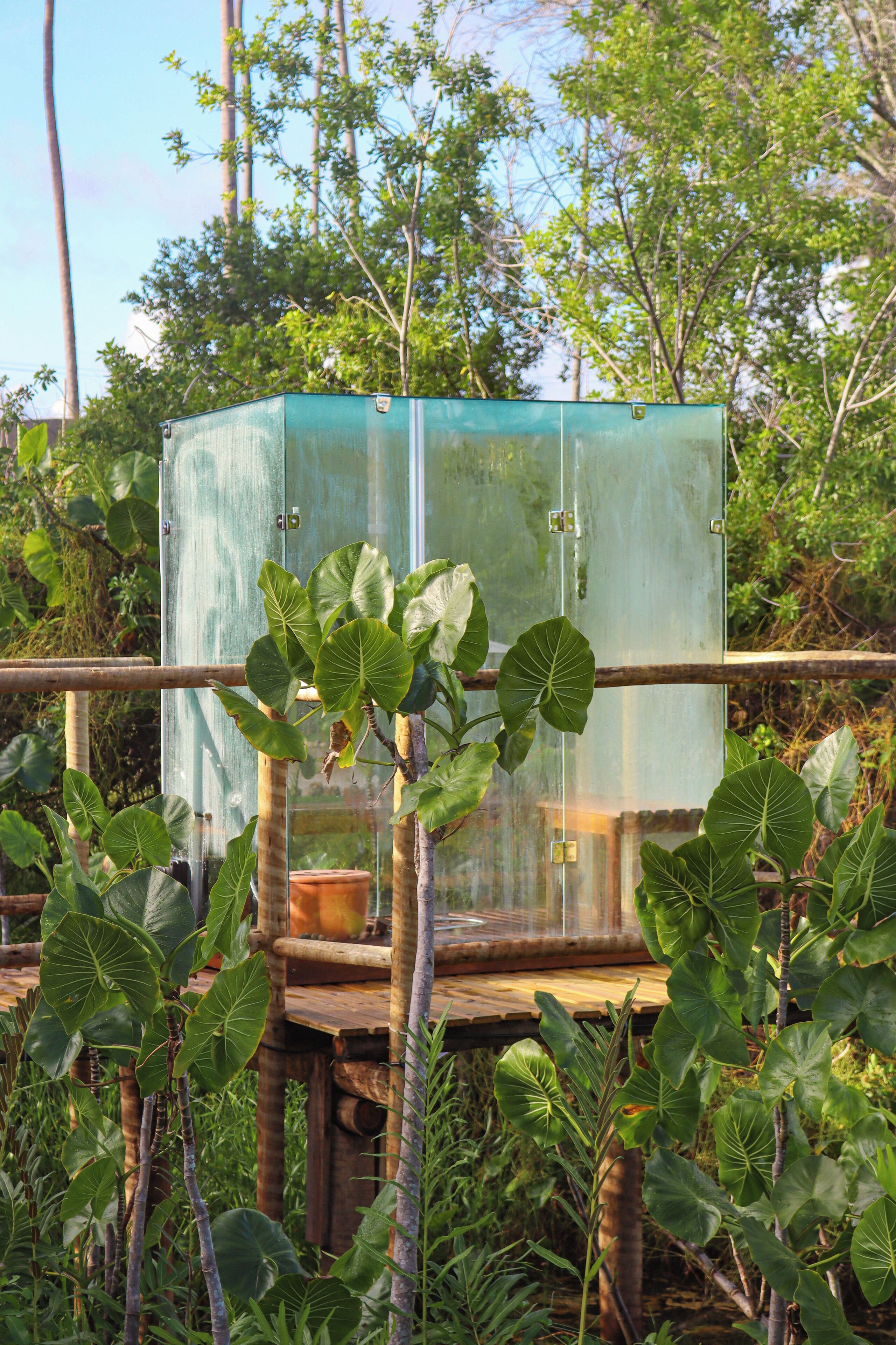 A greenhouse structure with transparent panels, surrounded by various plants and trees.