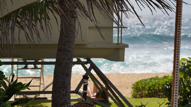 A lifeguard tower with a beach view, surrounded by palm trees and greenery. - Hawaiian Hale  (Hauula)