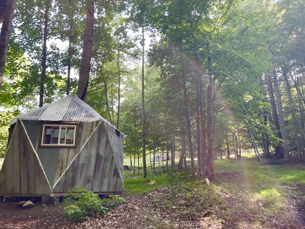 Una cabaña rústica en un bosque, con techo triangular y una ventana, rodeada de árboles altos y luz del sol filtrándose.