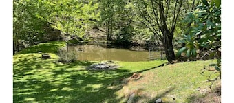 Zen Dome: Relax & Revive in the Beauty of Nature