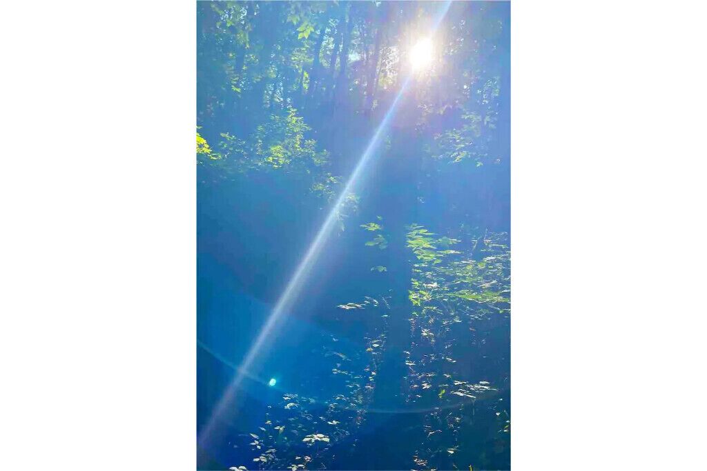 Zen Dome: Relax & Revive in the Beauty of Nature