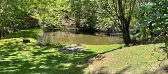 Zen Dome: Relax & Revive in the Beauty of Nature