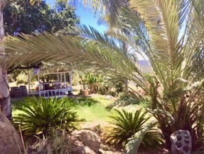 Área da propriedade