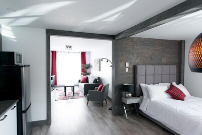 Loft with bed and sofabed in the city centre (Le Court-toit)