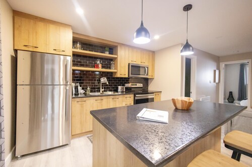 Suite with closed bedroom in the city center (Le Court-toit)