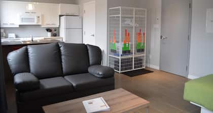 Loft with bed and sofa bed on the rue Principale (Le Chic-urbain)