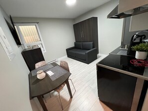 TV - Loft miniature near Plage Kiwanis (Le Centre-Ville) (Rouyn-Noranda)