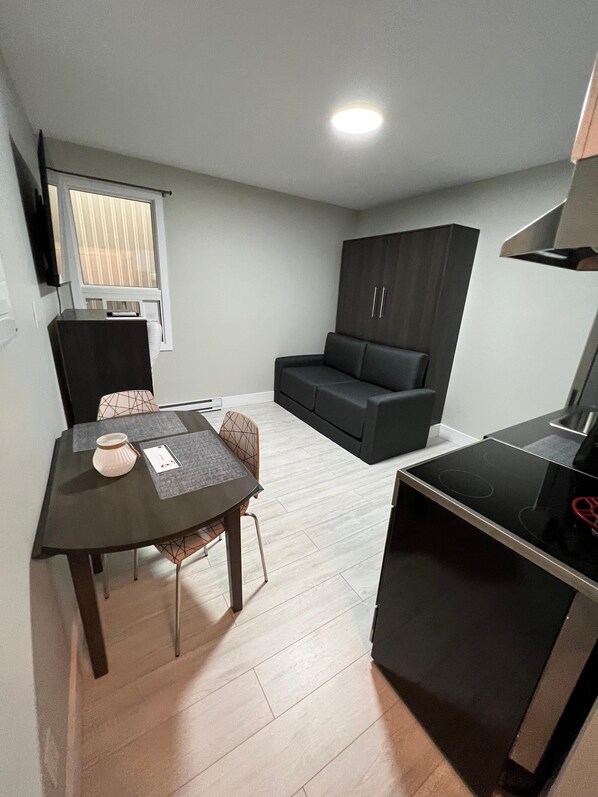 TV - Loft miniature near Plage Kiwanis (Le Centre-Ville) (Rouyn-Noranda)