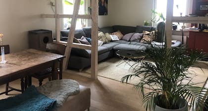 Large townhouse with cigar room and garden