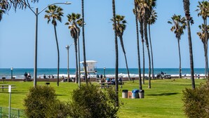 A coastal park with palm trees, a lifeguard tower, and benches along the beach.