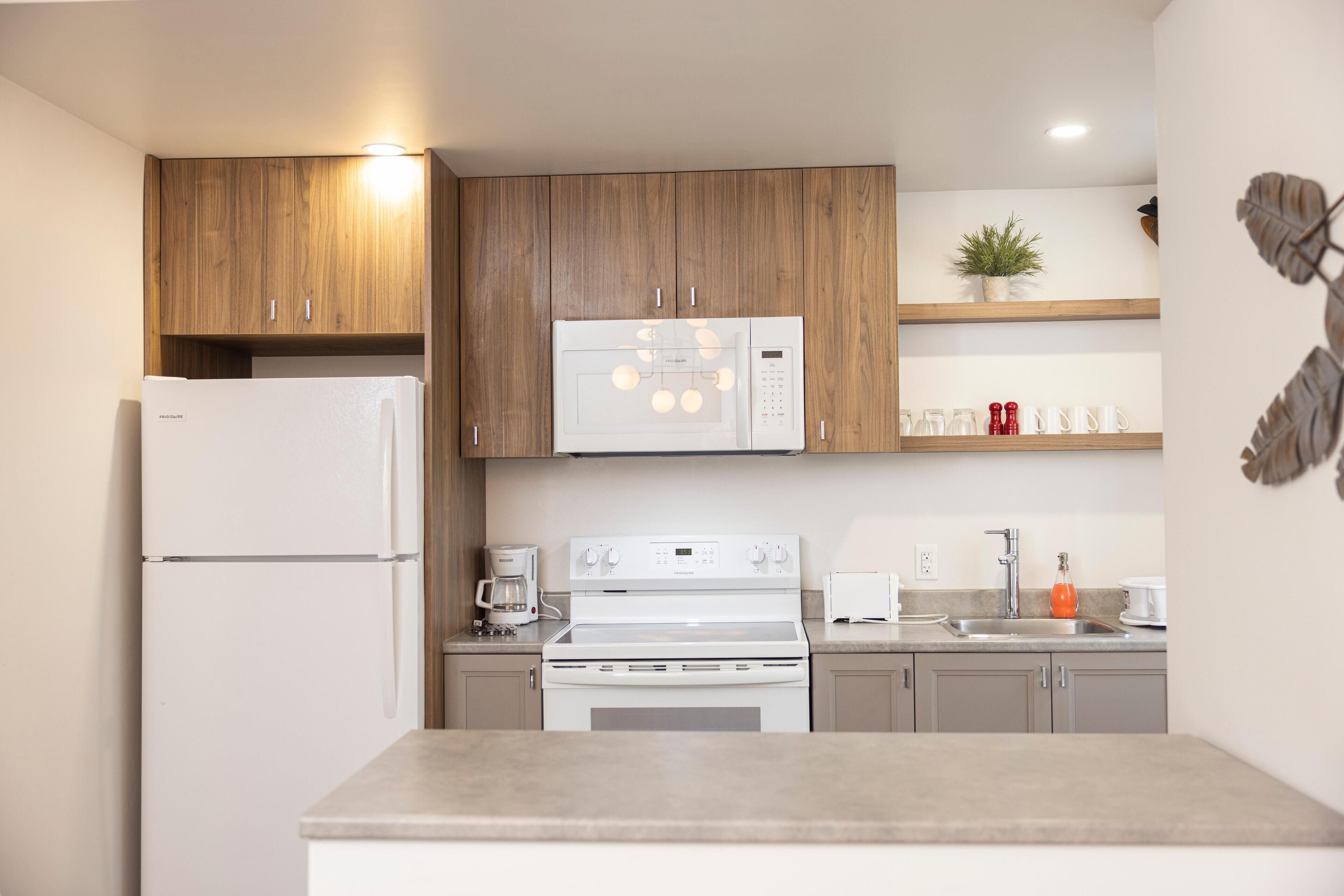 Suite avec chambre fermée + divan-lit (Le Central)