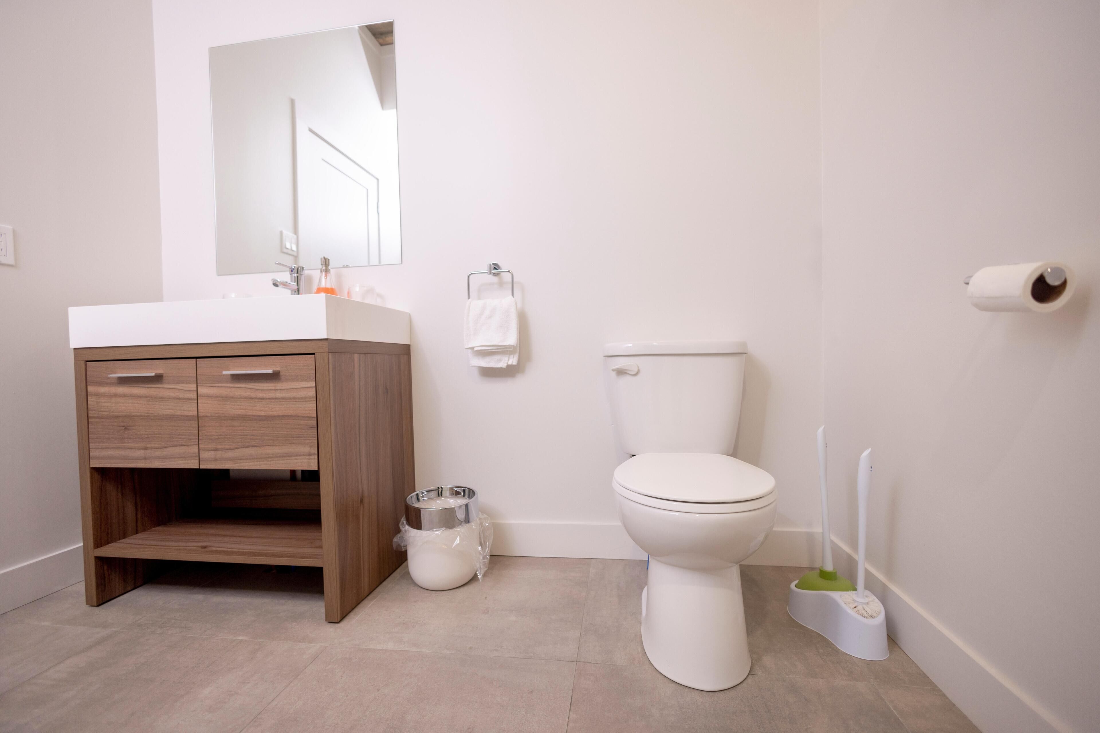 Suite avec chambre fermée + divan-lit (Le Central)