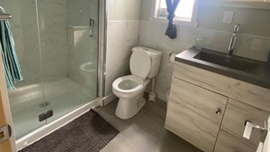 A compact bathroom with a glass shower enclosure, a toilet, and a sink with a mirror above it. - Suite with closed bedroom (Le Convivial) (Rouyn-Noranda)