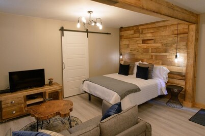 Loft in the city centre (Le Court-toit)