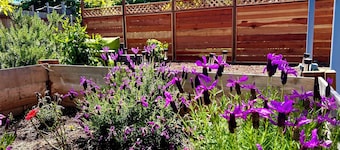 Charming Temescal Retreat near UC-Berkeley