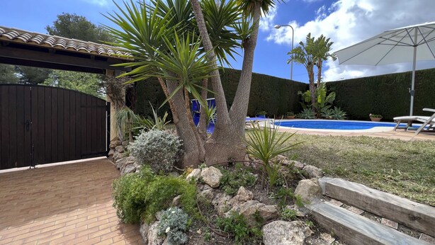 A backyard with a swimming pool, palm trees, a covered patio, and a wooden fence.