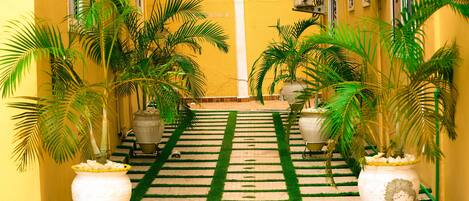 Terrein van de accommodatie