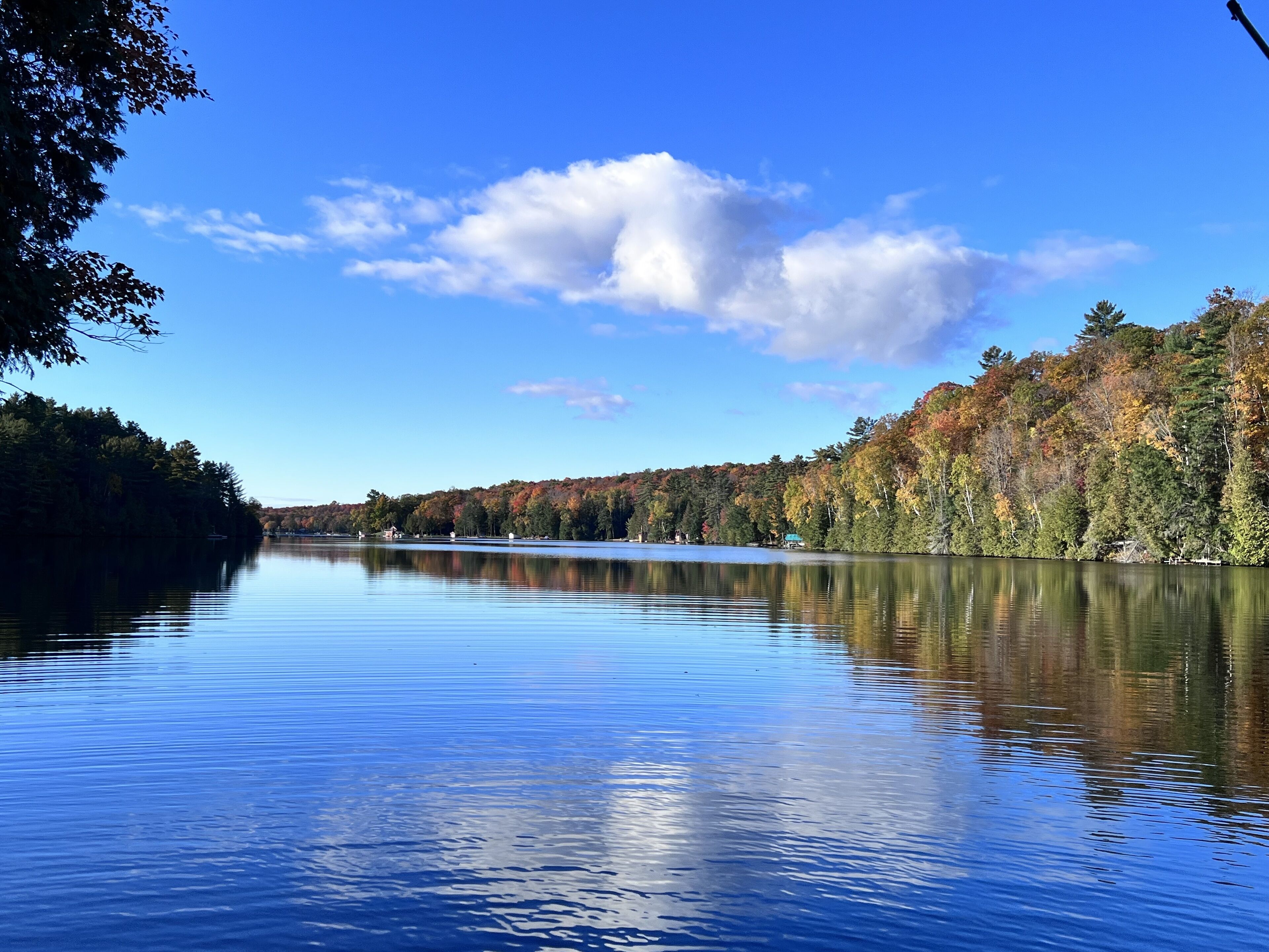 Ein ruhiger See mit bewaldeter Uferlinie und blauem Himmel.