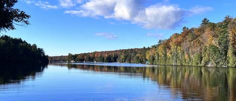 Ein ruhiger See mit bewaldeter Uferlinie und blauem Himmel.