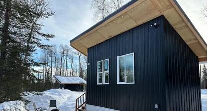 Talkeetna Tiny House Cabin Aspen Fire-pit/ski/bike/multi-use trails