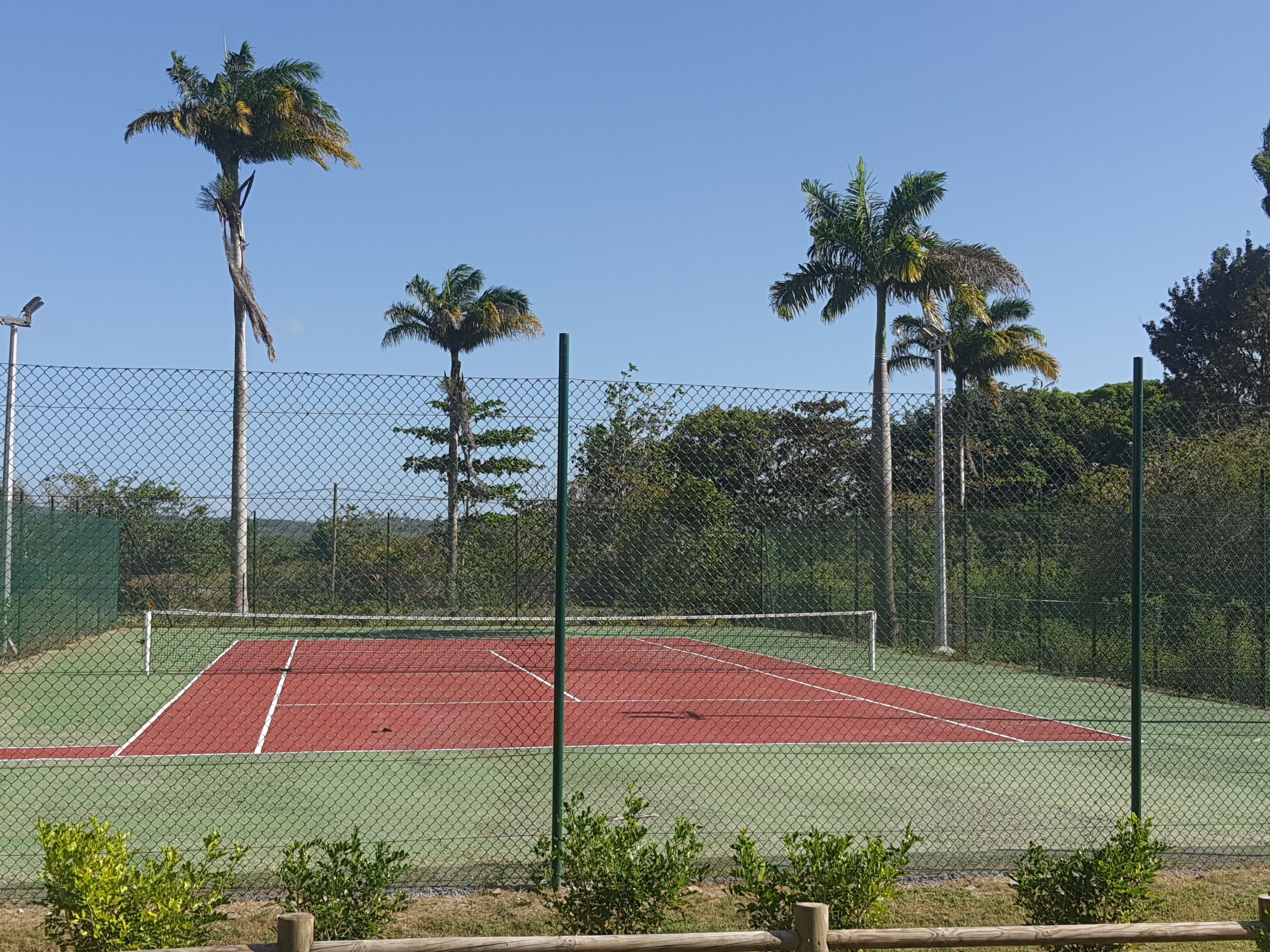 Una cancha de tenis rodeada por una cerca de alambre con palmeras al fondo.