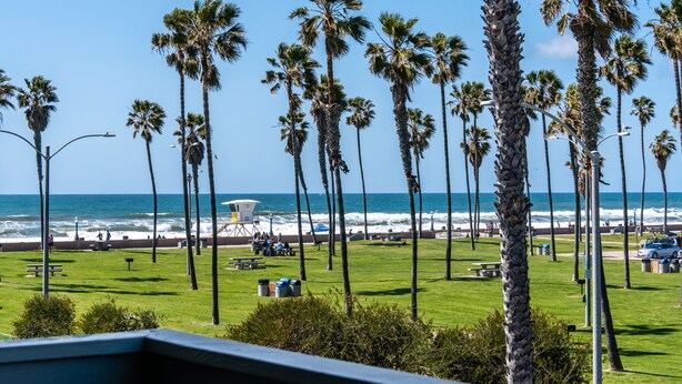 A coastal view with palm trees, a beach, and a lifeguard tower. - Belmont Patio - Ocean View, Pet Friendly, Patio, & Garage (San Diego)