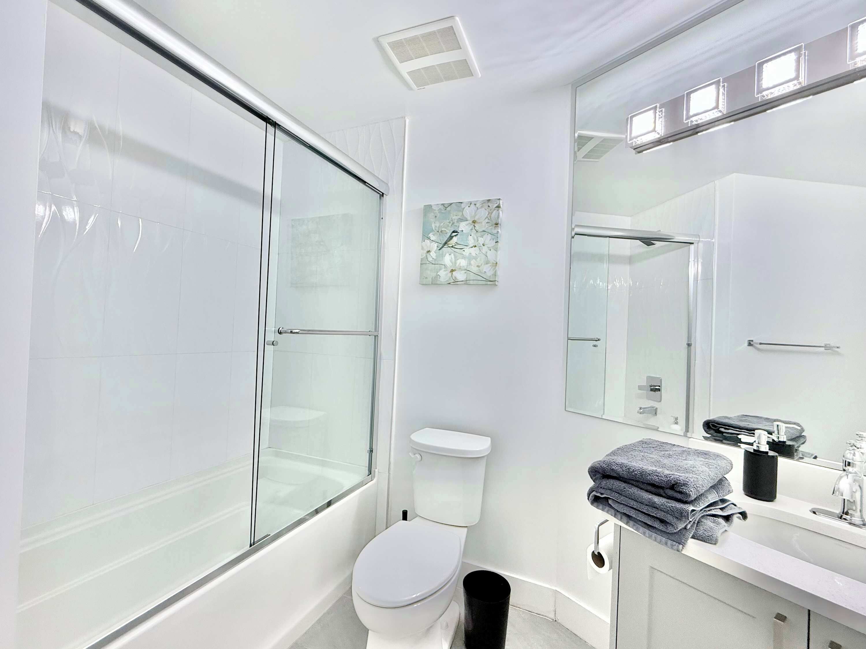 Ducha, secador de pelo, shampoo