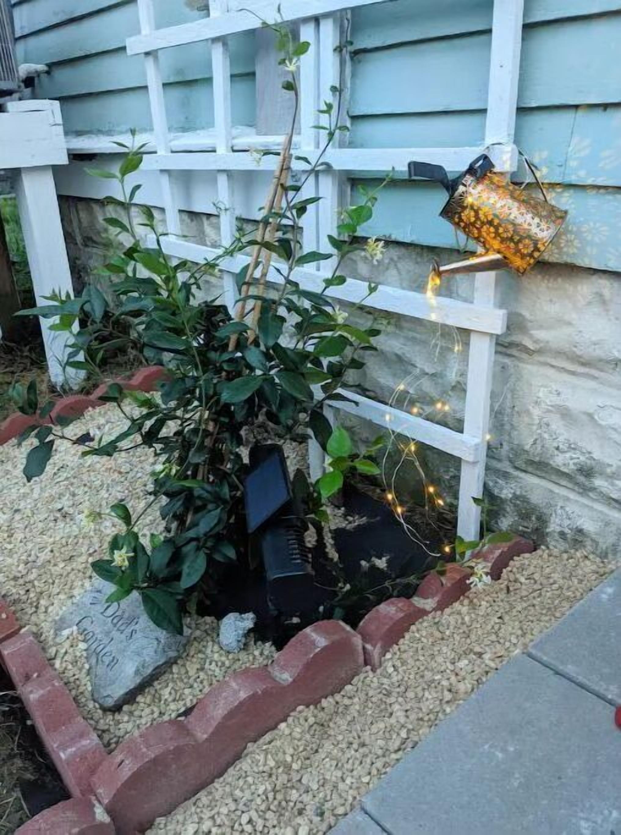A garden with a white trellis, a plant, and a decorative lantern.