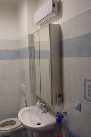 Chuveiro, secador de cabelo, bidê, toalhas de banho
