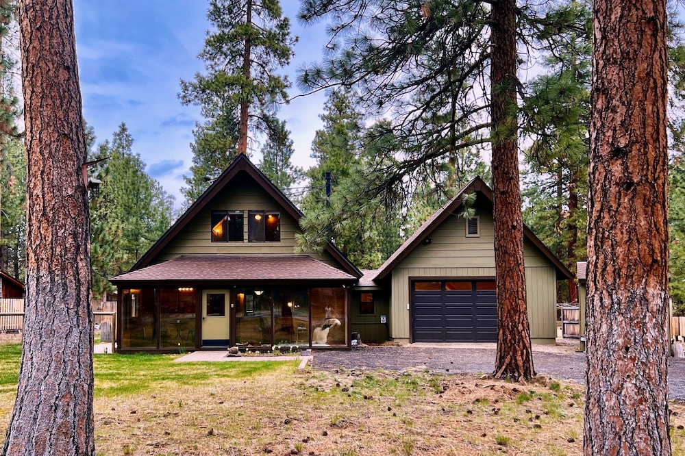 Wooden A-Frame Cabin Nestled in the Tall Pines