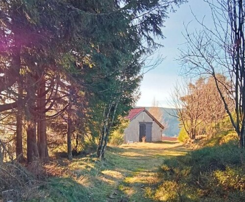 Le Gîte des Forêts Enchantés