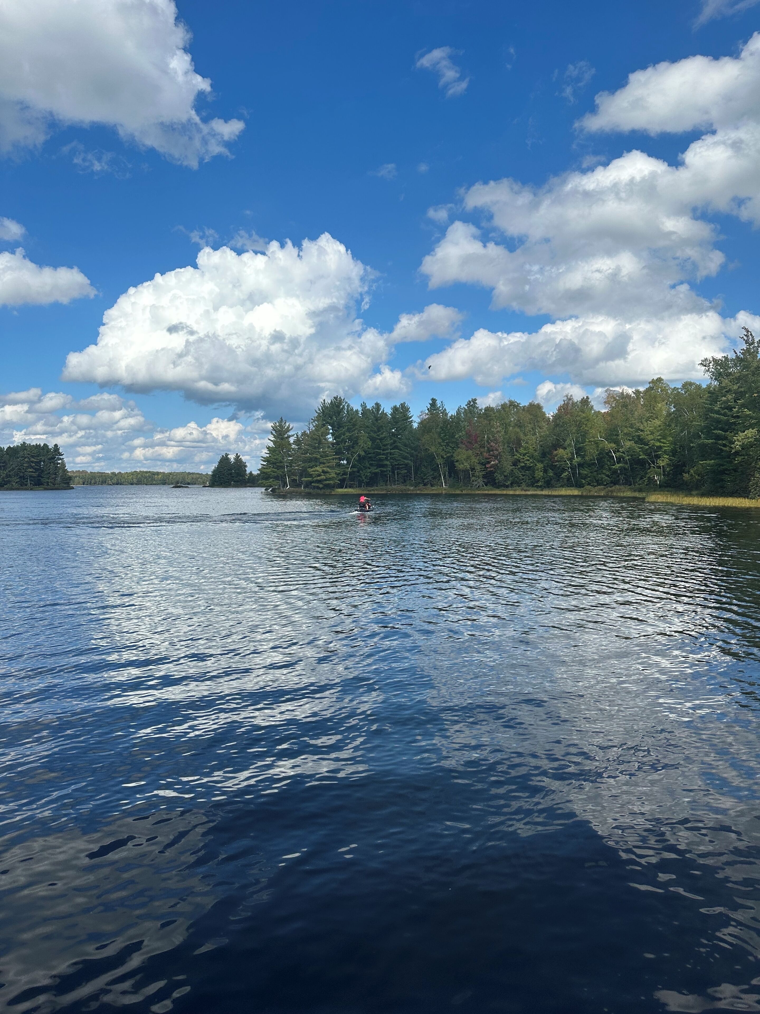 A calm lake with a clear sky and trees in the background.