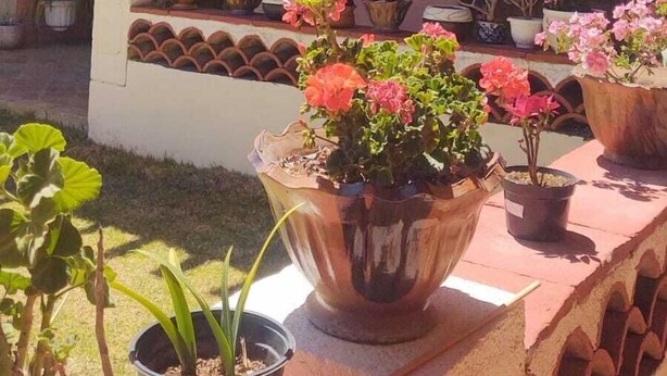 Terrasse/patio
