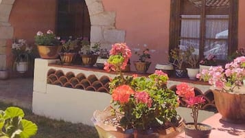 Terraza o patio