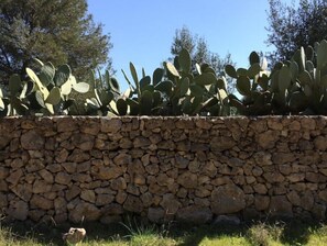 Exterior detail - Cozy Artist's House, Casa d'Artista, Nardò (Nardò)